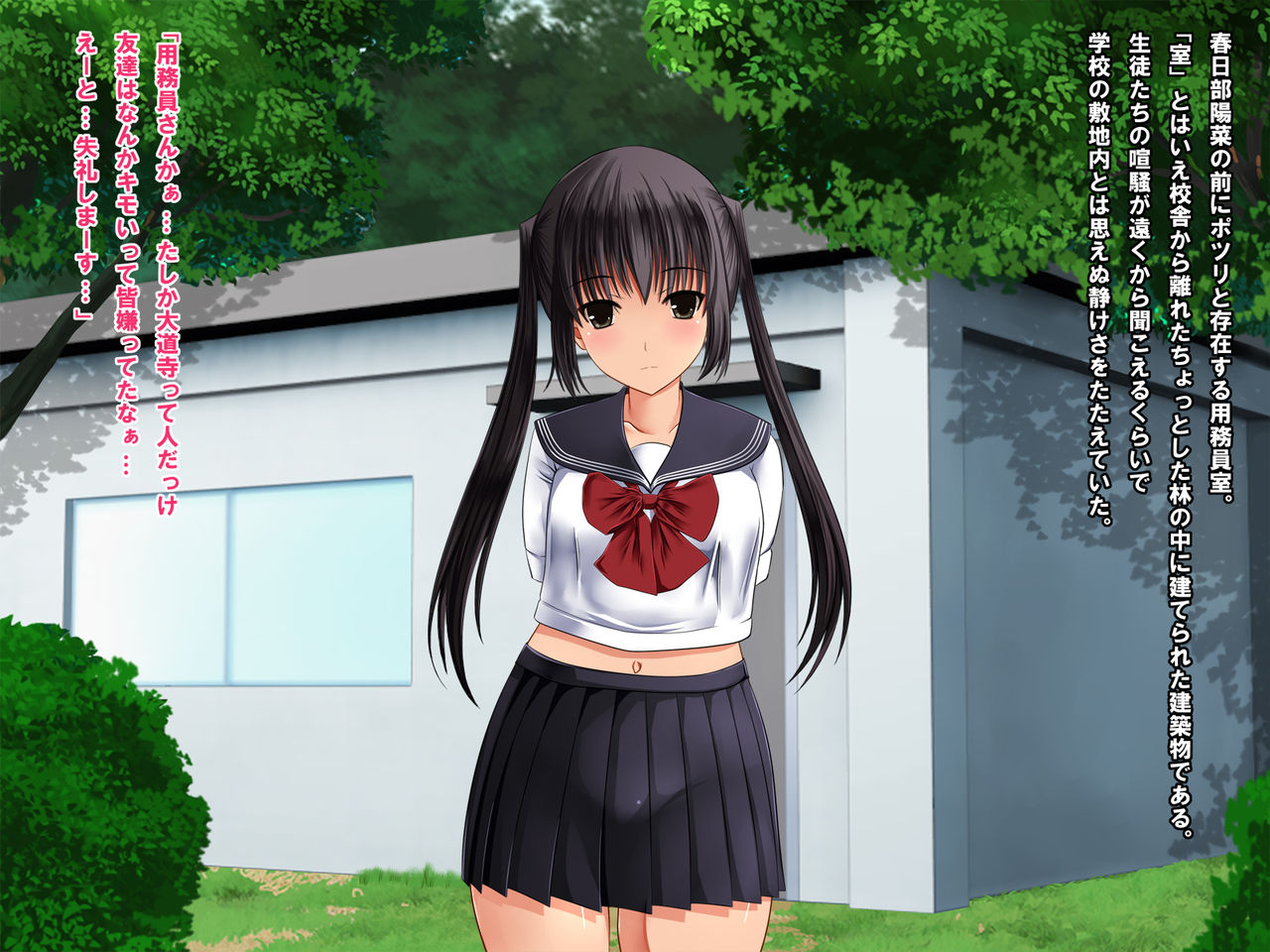 Twintail Bishoujo JK o Chuunen Youmuin ga Zetsurin Nama Chinpo de Nakadashi Rape Shojo Soushitsu Jusei Sase Haramasete kara mo Chitsunai Shasei Sex Shitsuzukeru Hanashi page 9 full