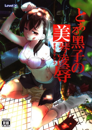 Toaru Kuroko no Mikoto Ryoujoku cover