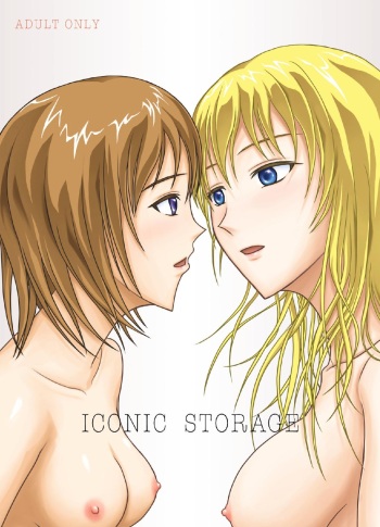 Iconic Storage cover