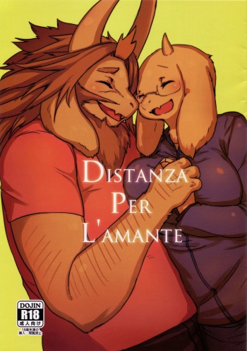 DISTANZA PER L'AMANTE cover