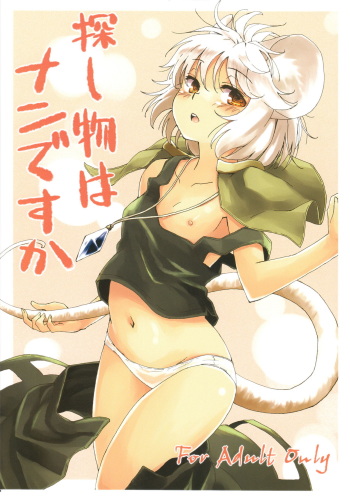 Sagashimono wa Nan Desu Ka cover