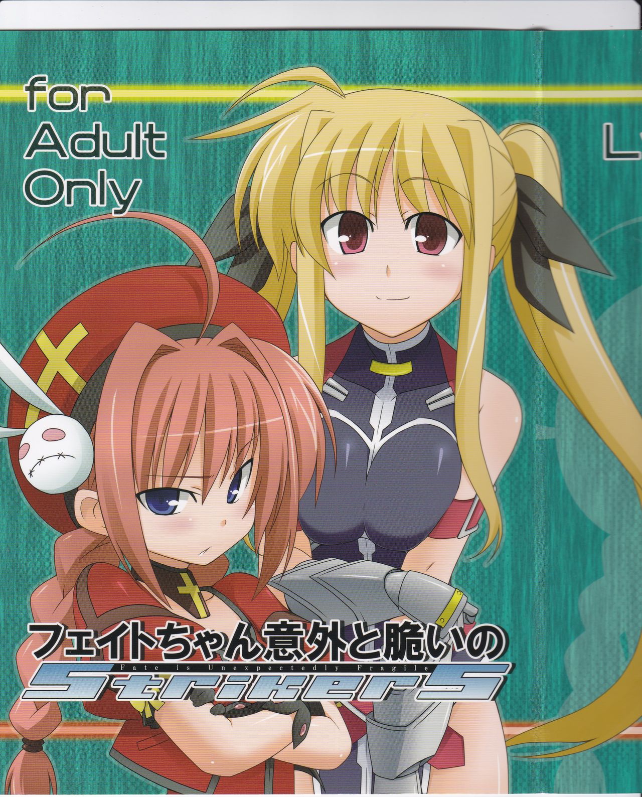 Fate-chan Igai to Moroi no StrikerS page 3 full