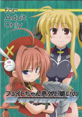 Fate-chan Igai to Moroi no StrikerS cover