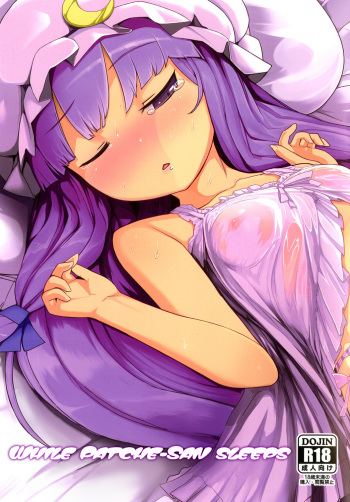 Patche-san no Neteru Aida ni!! | While Patche-san Sleeps cover