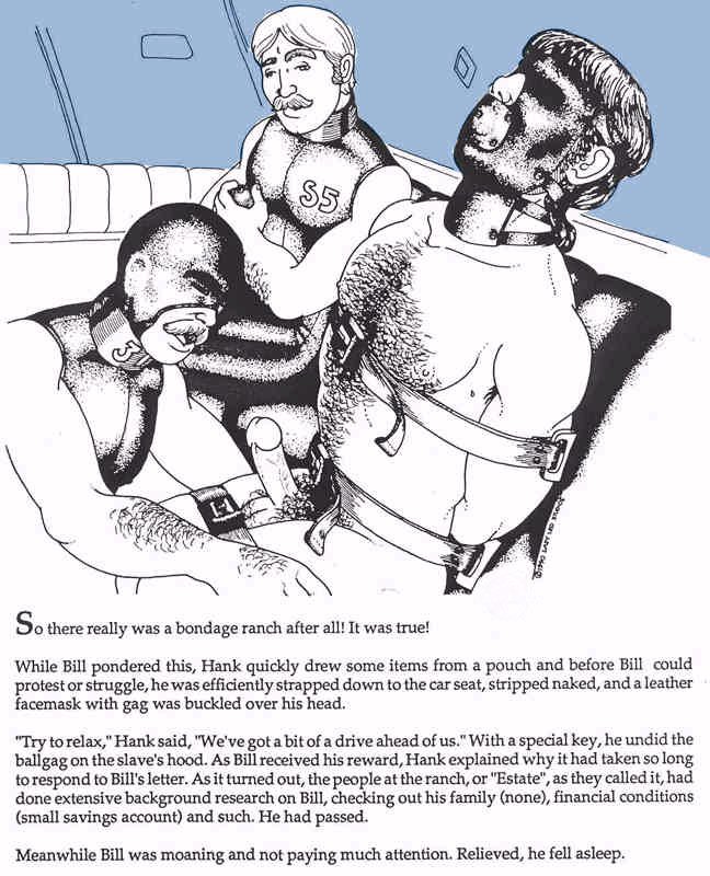 The Estate page 5 full