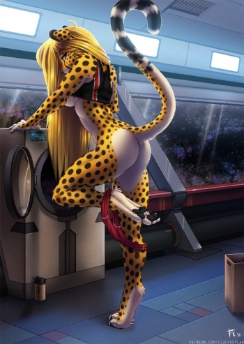 Furry 4 cover