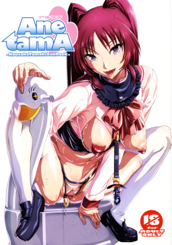 Ane tamA -Kousaka Tamaki Funbook- cover