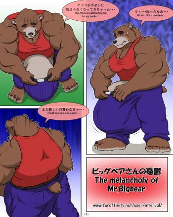 The melancholy of Mr. Bigbear cover