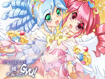 Princess  Summit Gyu♪ cover