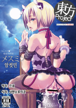 [Atelier Dr.HEAD'S (Katou Chakichi)] Mesumin (Shingeki no Kyojin) [Korean] [Digital]