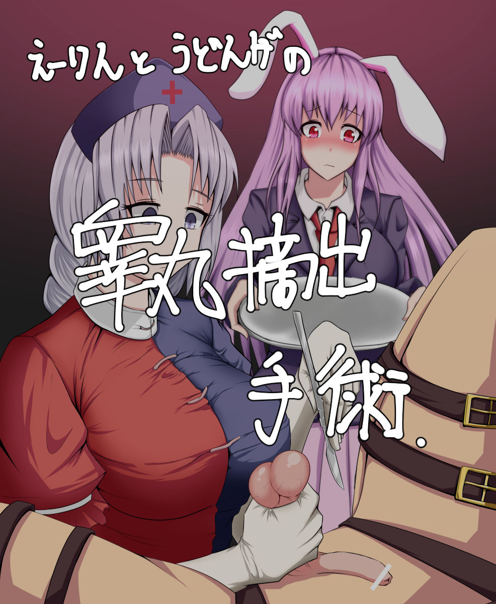 Eirin to Udonge no Kyousei Kougan Tekishutsu Shujutsu page 1 full