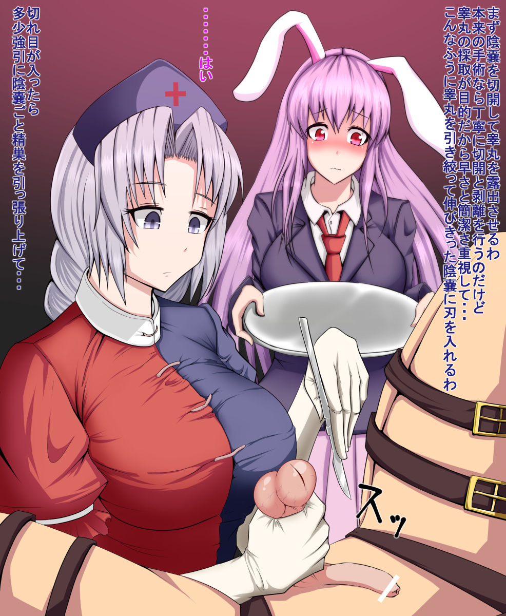 Eirin to Udonge no Kyousei Kougan Tekishutsu Shujutsu page 3 full
