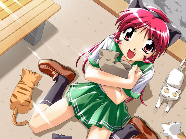 Onii-chan to Issho page 7 full