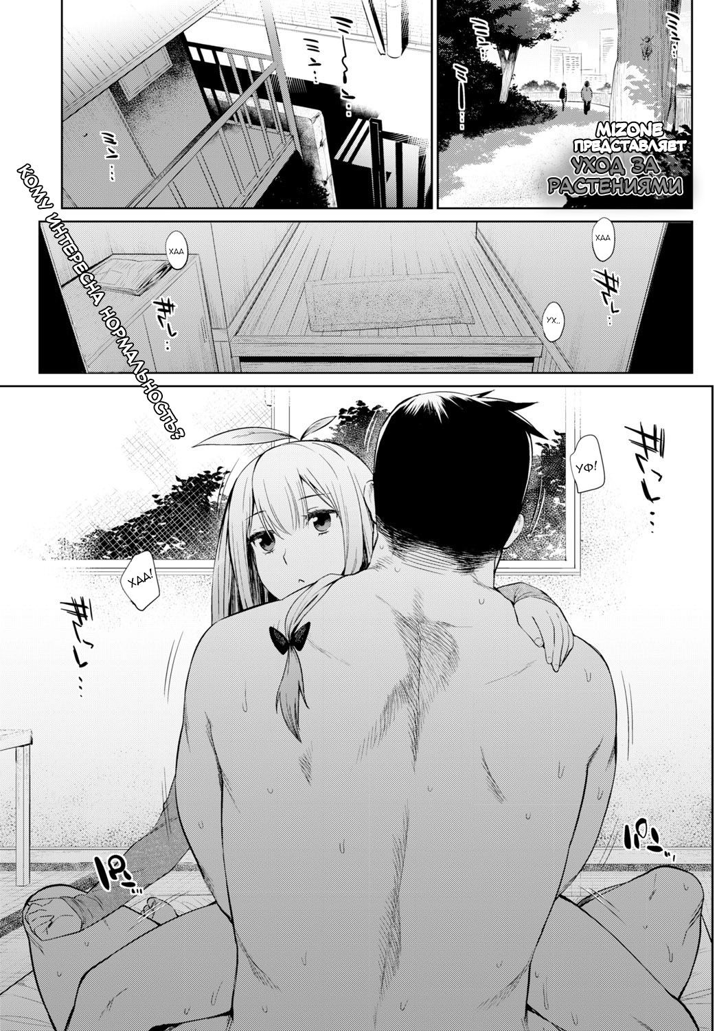 Shokubutsu no Sodatekata | Уход за растениями page 1 full