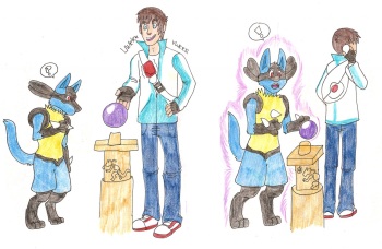 Lucario Transformation + Bonus Art cover