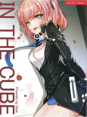IN THE CUBE cover