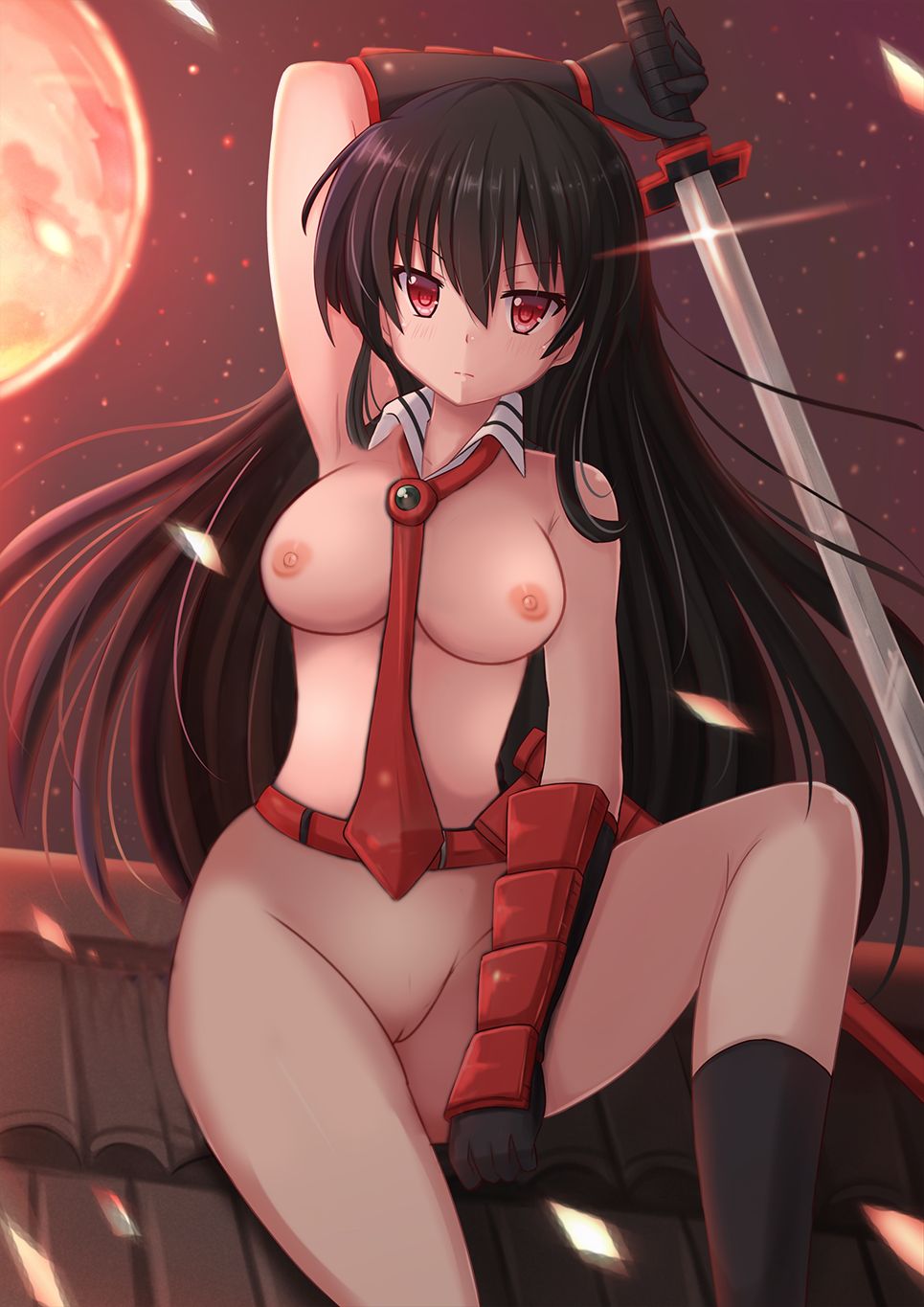 Personnal Akame Ga Kill page 5 full
