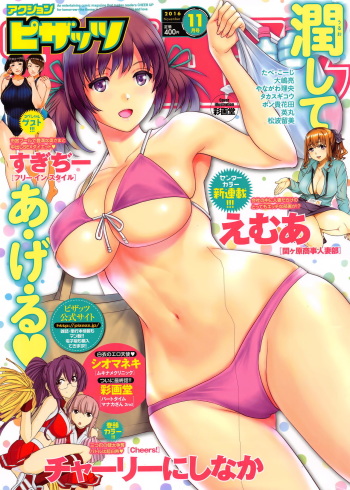Action Pizazz 2016-11 cover