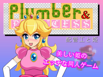 Haikankou to Hime - Plumber &amp; Princess cover