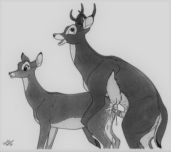 Randy Muledeer Gallery cover