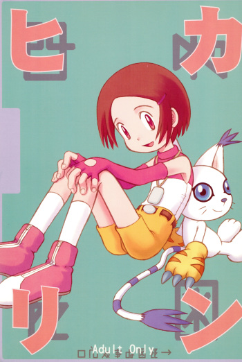 Hikarin cover