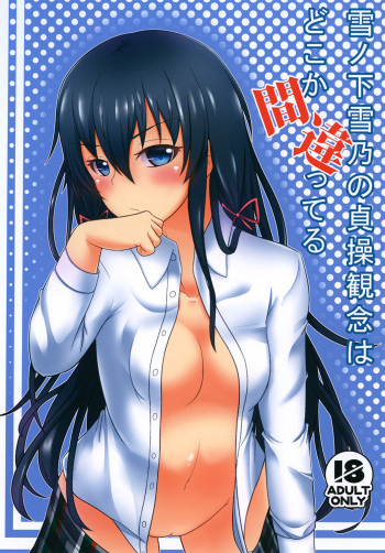 Yukinoshita Yukino no Teisou Kannen wa doko ka Machigatteru cover