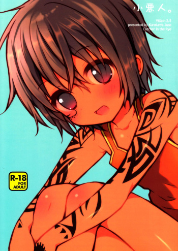 Ko Akunin. cover