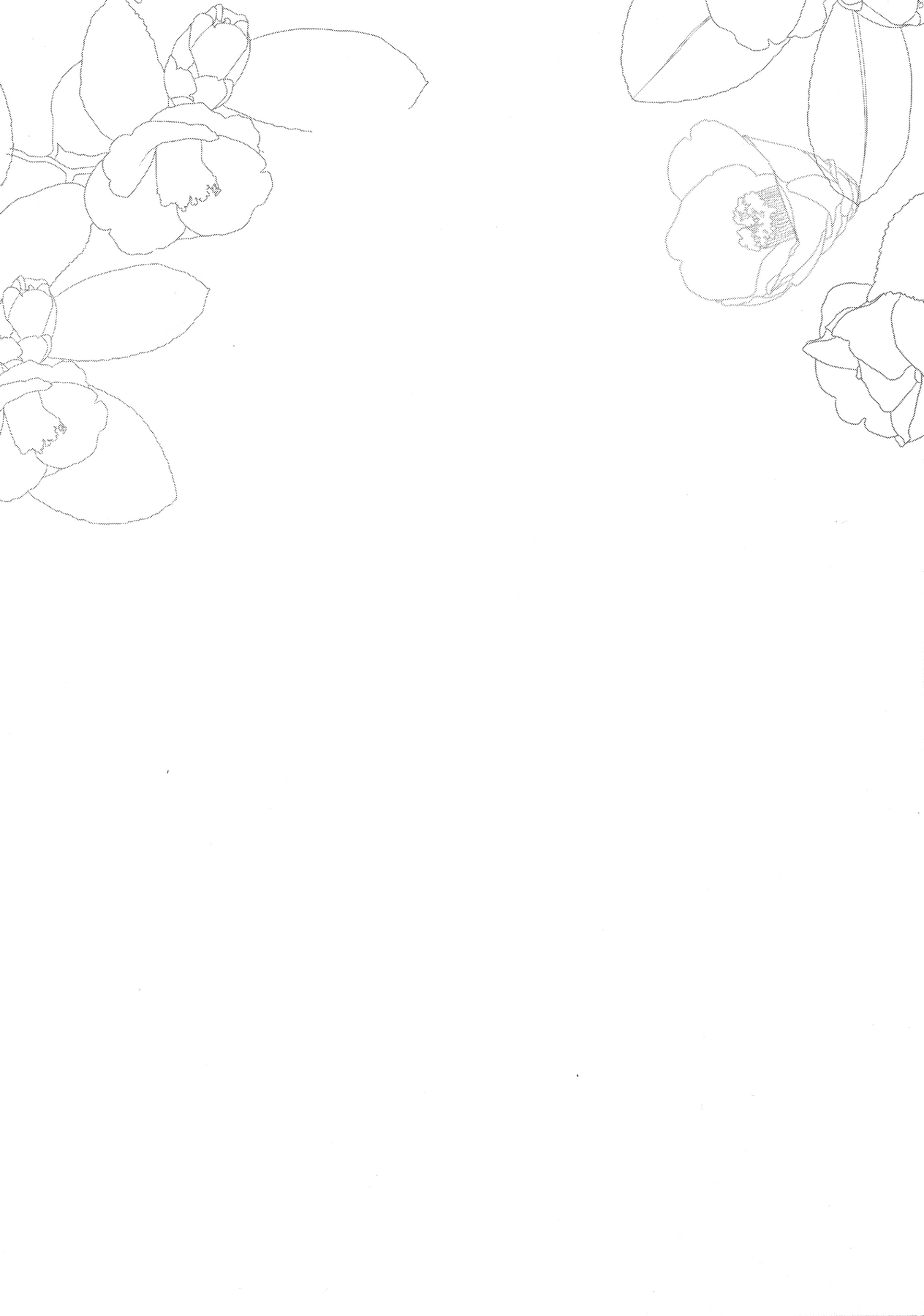 Ane Naru Mono 4 page 4 full