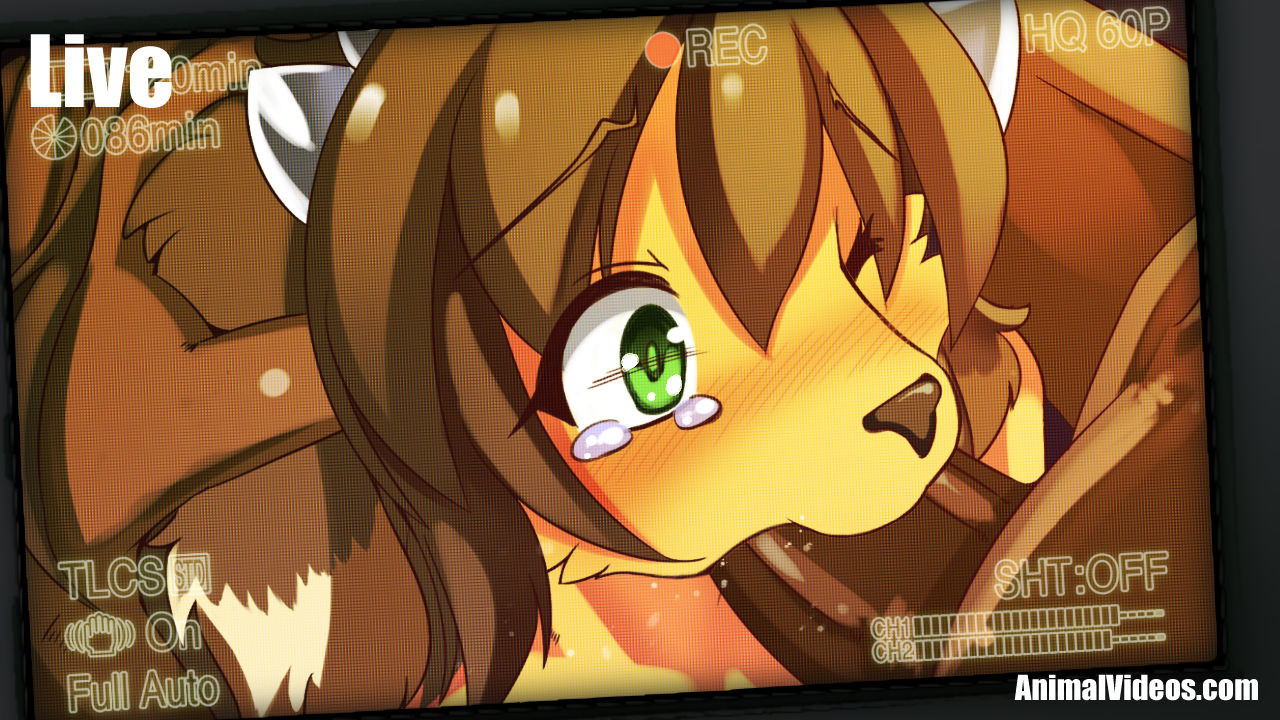ARTIST 白狛 page 10 full