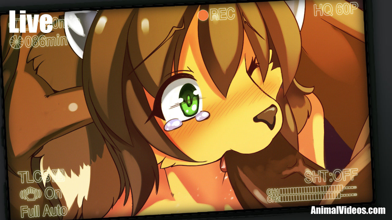 ARTIST 白狛 page 2 full