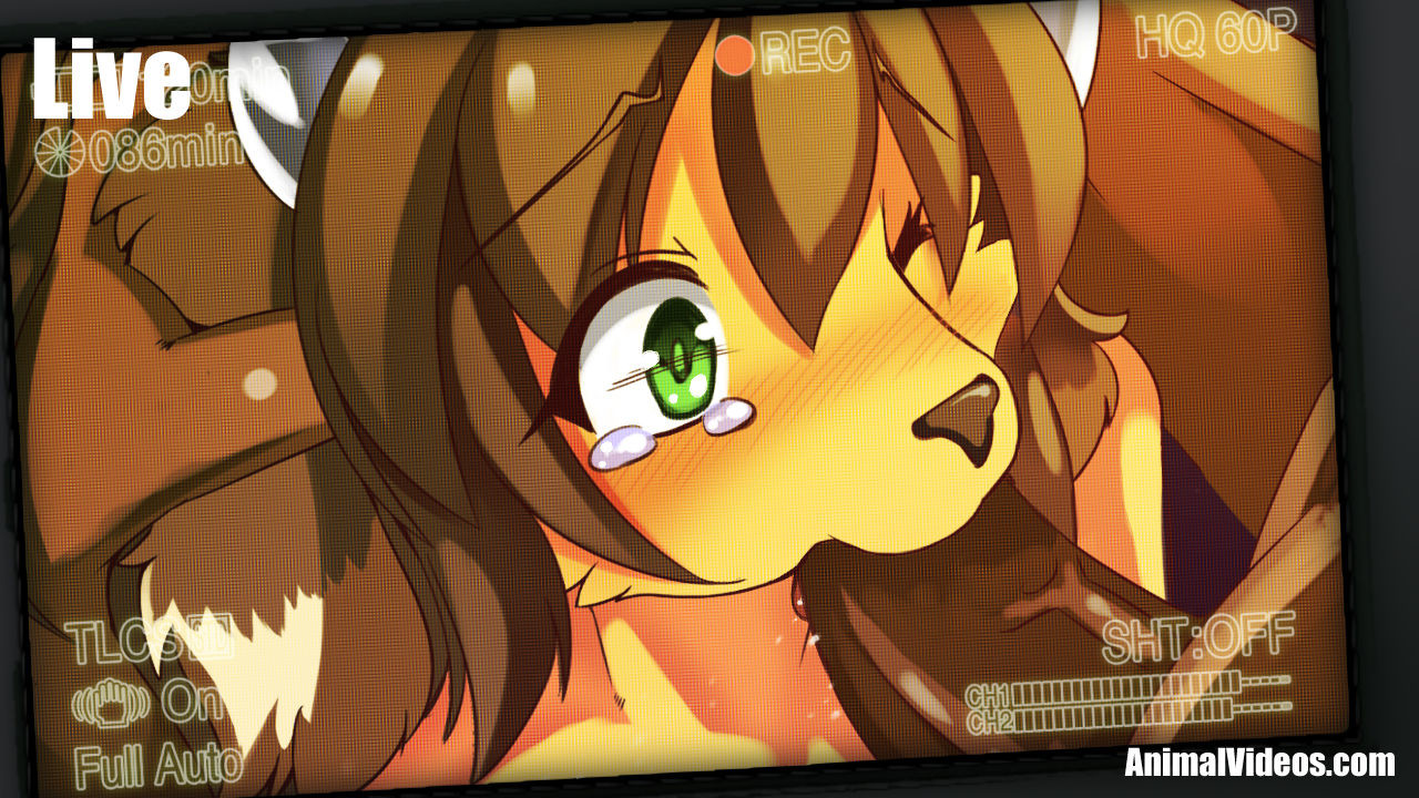 ARTIST 白狛 page 4 full