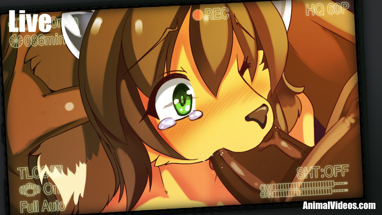 ARTIST 白狛 page 6 full
