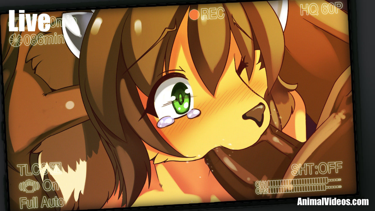 ARTIST 白狛 page 7 full