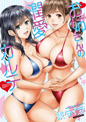 Onee-san no Junai Karte cover
