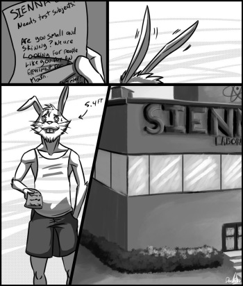 Big Boy Bunny! cover