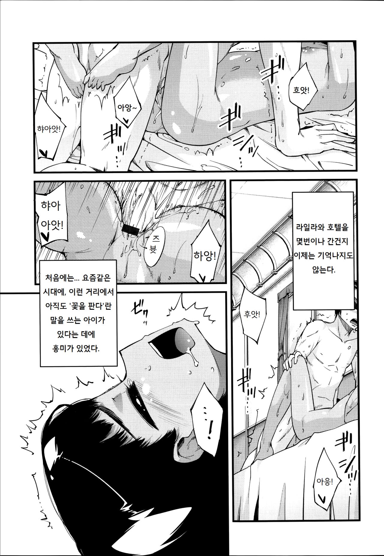 Alstroemeria page 3 full