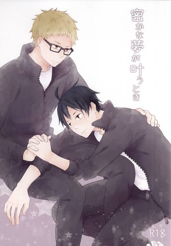 密かな夢が叶うとき cover
