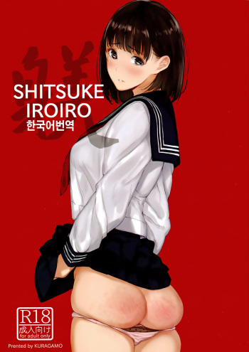 SHITSUKE IROIRO cover