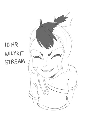 Wilykit 10 hour cover