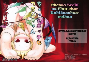 Chotto Ecchi na Flan-chan Kahitsu Shuuseiban cover