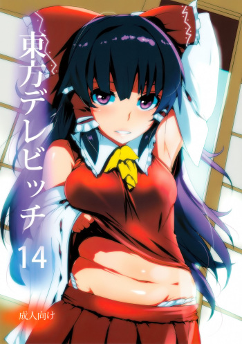 Touhou Derebitch 14 cover