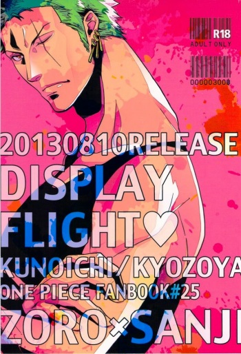 DISPLAY FLIGHT cover