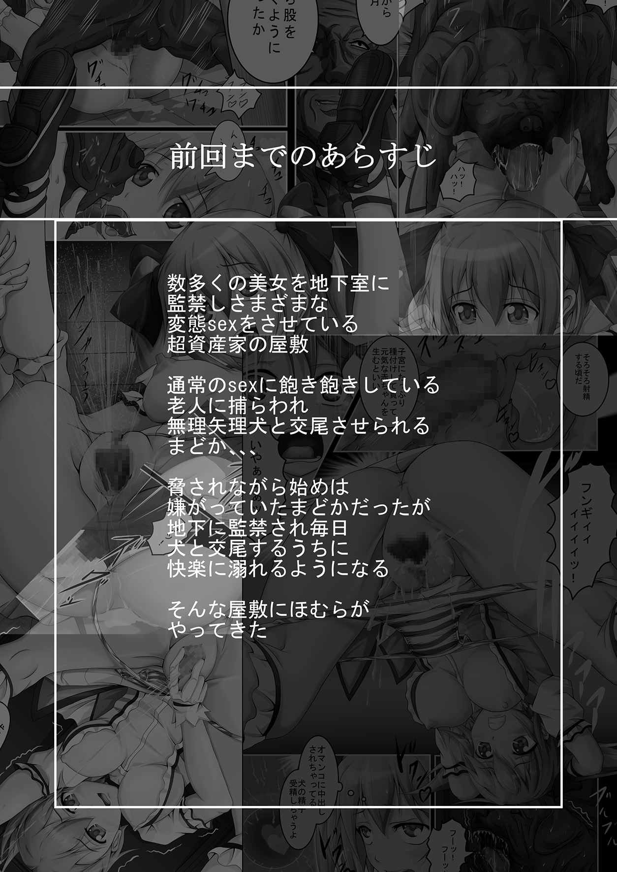 Tsuujou no SEX ni wa Akiakishite iru go Roujin no Chikashitsu ~Ni~ page 3 full