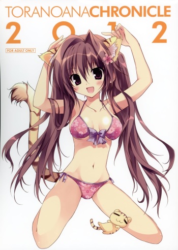Toranoana Chronicle 2012 cover