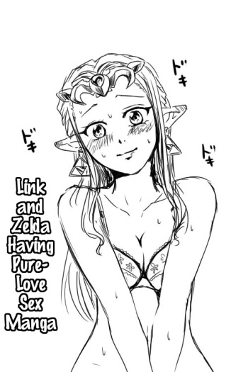 Link to Zelda ga Jun Ai Ecchi suru Manga | Link and Zelda Having a Pure-Love Sex Manga cover