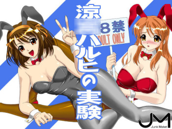 Suzumiya Haruhi no Jikken cover