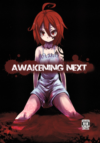 AWAKENING NEXT cover
