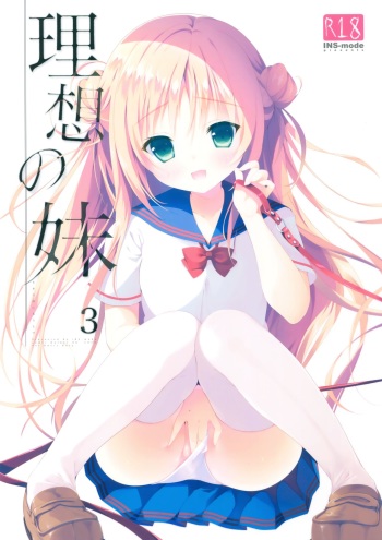 Risou no Imouto 3 cover