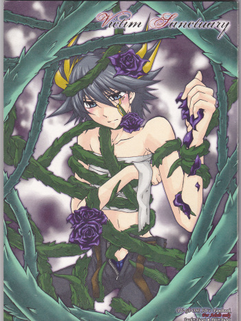 Victim Sanctuary cover