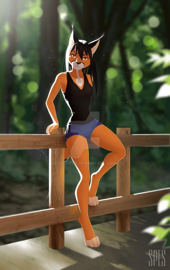 spefides_ cover